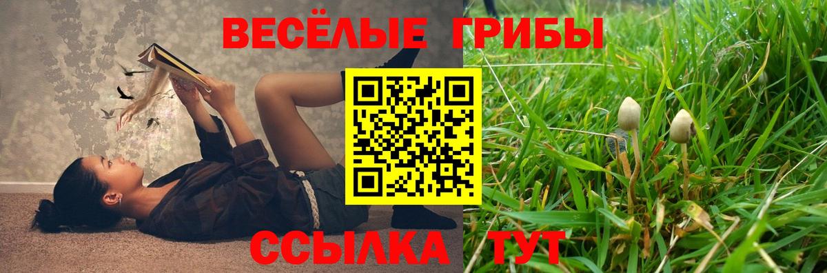 Псилоцибиновые грибы Psilocybine cubensis Магадан